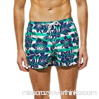 Beach Shorts for Men Quick Dry Men Breathable Trunks Pant Stripe Leaves Print Swimwear Beach Shorts Slim Wear Green B07NY35BWC